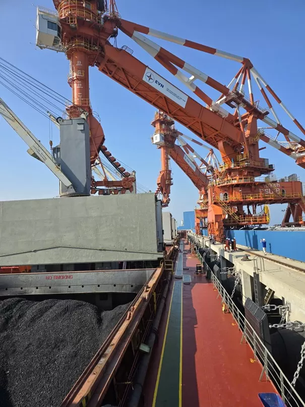 Vận chuyển nội địa & quốc tế